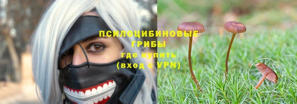 стафф Абинск