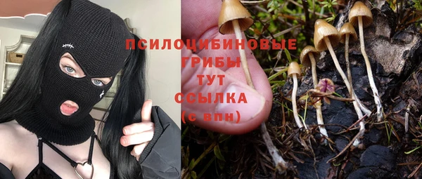 прущая мука Абдулино