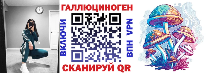Псилоцибиновые грибы Psilocybe  купить закладку  Злынка 